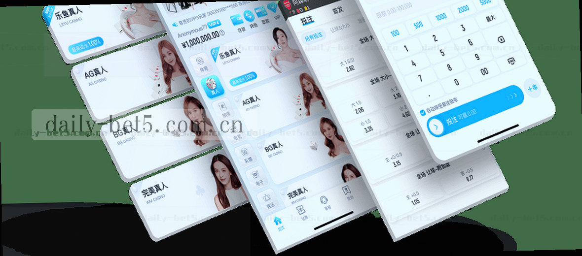 关于页横幅 极简设计 清晰展示 用户快速理解